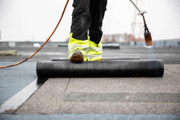 Best Gutter Installation and Repair  in Fox Farm College, WY